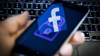 從教訓(xùn)到行動(dòng) Facebook收購網(wǎng)絡(luò)安全公司的戰(zhàn)略意圖與上海網(wǎng)絡(luò)信息安全軟件開發(fā)的機(jī)遇